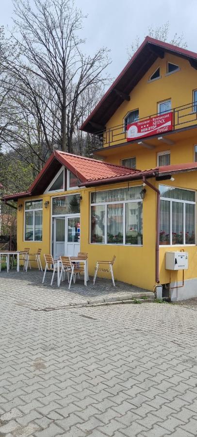 Pensiune Restaurant Sfinx Buşteni Zewnętrze zdjęcie